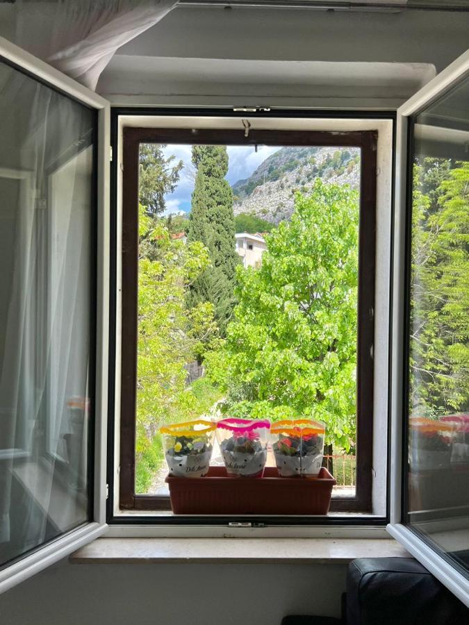 Apartment Kiki Kotor Kültér fotó