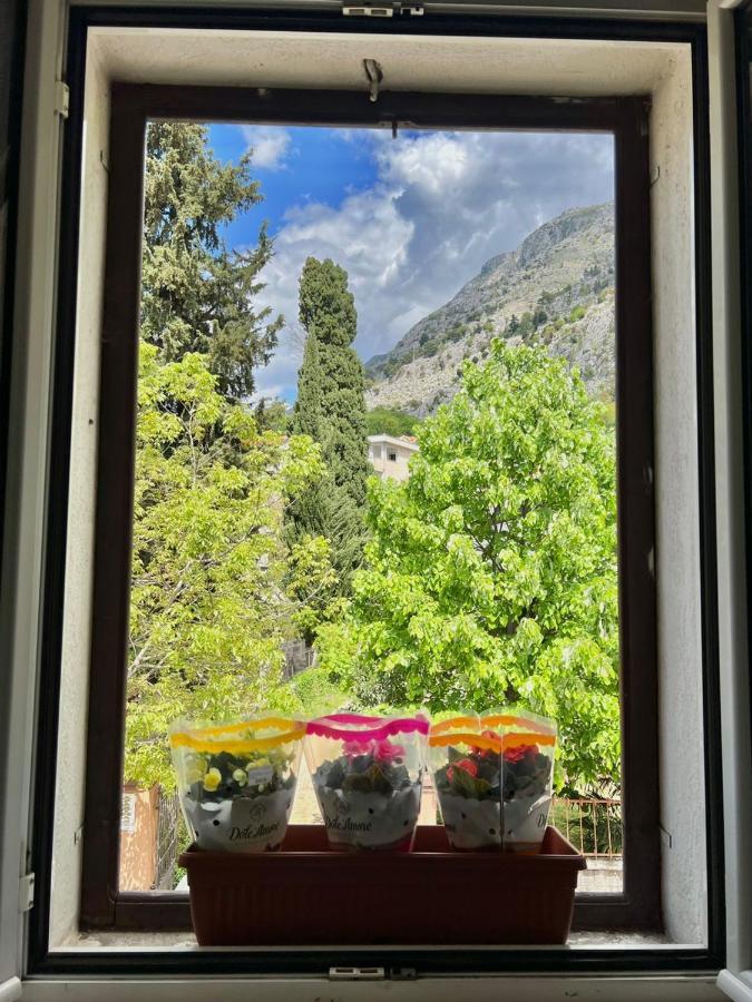 Apartment Kiki Kotor Kültér fotó